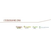 L’ECOLOGIA NEL DNA - Logypal · dura da oltre trent’anni, partita da un’intuizione semplice, ma vincente, che ha saputo affrontare – rinnovandosi – un percorso ricco di