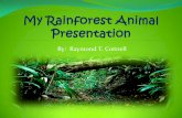 By: Raymond T. Cottrell Powerpoint 1.pdf · Out of all the living things in the rainforest , I have chosen one animal: The Sloth Sloths are mammals.