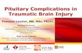 Pituitary Complications in Traumatic Brain Injury...Pituitary Complications in Traumatic Brain Injury François Lauzier, MD, MSc, FRCPC Assistant Professor ... e1. lp.te)dty)sddsrhc.lesdmadinheStetdr3