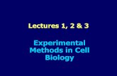 Experimental Methods in Cell Biology - Weeblyjohnjhaddad.weebly.com/uploads/2/5/2/0/2520519/lectures_123.pdf · Experimental Methods in Cell Biology. Cells as experimental models.
