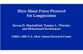 Slice Shear Force Protocol for Longissimus...Slice Shear Force Protocol for Longissimus Steven D. Shackelford, Tommy L. Wheeler, and Mohammad Koohmaraie USDA-ARS U.S. Meat Animal Research