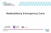 Ambulatory Emergency Care - Change Champions · 2015-07-03 · Background Ambulatory Emergency Care is a way of managing a significant proportion of emergency patients on the same