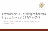 FemtoscopicBEC of charged hadrons in pp collisions at 13 ... · Modulation of non-BEC effect in h correlations: qThe cluster contribution: also present in h pairs, with similar shape