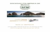 SOCIEDAD POLIMÉRICA DE MÉXICOsociedadpolimerica.org.mx/macromex2017/files/book... · SOCIEDAD POLIMÉRICA DE MÉXICO. ON ADVANCES IN POLYMER SCIENCE . Los Cabos, Baja California
