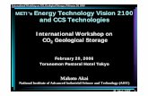 International Workshop on CO METI's Energy …METI's Energy Technology Vision 2100 and CCS Technologies International Workshop on CO 2 Geological Storage February 20, 2006 Toranomon