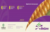 Gerente de Marke ng Gerente de Desarrollo Gerente de ... · En pos de brindarles cada día mejores productos y servicios estamos lanzando una nueva línea d e maíces que nos permir