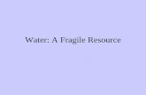 Water: A Fragile Resource• Some industries are more water-intense than others e.g. • 10 liters of water are used to make one sheet of paper • 3 liter water 1 liter bottled water•