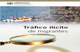 Tráfico ilícito de migrantes - unodc.org · Casi todos los países del mundo se ven afectados por el tráfico ilícito de migrantes, ya sea como países de origen o como países