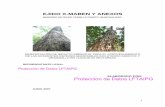 MUNICIPIO DE FELIPE CARRILLO PUERTO, QUINTANA ROOsinat.semarnat.gob.mx/dgiraDocs/documentos/qroo/estudios/... · 2014-02-13 · menor grado posible la estructura de la selva, de tal