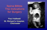 Spina Bifida: The Indications for Surgery Bifida - Paul Halliwell.pdf•Sharrard Procedure + adductor tenotomy –Strong quads, hip flexors and adductors –Weak abductors –Pure