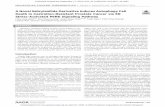 ANovelSalicylanilideDerivativeInducesAutophagyCell Death ... · metastatic CRPC. Introduction Despite high response rates to androgen deprivation therapy in men with advanced prostate