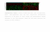 Web viewSupplementary figure 1 Twenty lncRNA heat maps (red: up-regulated; green: down-regulated) with the most significant differential expression in 50 pairs of liver cancer and