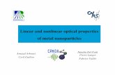 Linear and nonlinear optical properties of metal nanoparticlescophen04/Talks/Delfatti.pdfFundamental properties of metal nanoparticles (Silver or Gold in a matrix, solution or deposited)