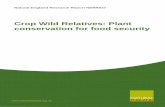 Crop Wild Relatives: Plant conservation for food …...Crop Wild Relatives: Plant conservation for food security iii Summary Crop Wild Relatives are the wild ancestors of crop plants