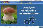 Analysis of Nicotine in Mushrooms - EURL · Nicotine in Mushrooms - Background Information: • Nicotine is a naturally occurring alkaloid in tobacco (Nicotiana tabacum) where it