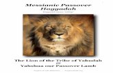 Messianic Passover Haggadah · PDF file 2 INTRODUCTION LEADER: The Passover, or Pesach, in Hebrew means “to spare by hesitating over.” Pesach also means “the festival” or the