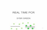 REAL TIME PCR - Gene-Quantification · • use pcr baseline subtraction (not curve fitting default option) ... reference gene efficiency, little more work than validating the ...