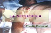 TÉCNICAS DE LA NECROPSIA · 2014-09-01 · TÉCNICA EXAMEN ECTOSCÓPICO: •Descripción detallada y minuciosa del cadáver, antes de realizarse los cortes de la necropsia. Especialmente