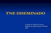 TNE DISEMINADO - SENDIMADsendimad.org/sesiones/tne.pdf · 23/04/2008 Mujer 38 años 10 años antes molestias epigástricas Endoscopia diagnostica duodenitis inespecífica y H Pylori,
