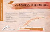 7 rutas 17/11/15 6:31 Página 1 COLECCIÓN SENDERISMO POR LA …static3.comunitatvalenciana.com/.../ruta_7_penyagolosa.pdf · 2016-02-18 · Peña Colosal que ya nombraba el ilustre