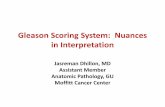 Gleason Scoring System: Nuances in Interpretation · 2018-08-16 · (ISUP) in 2005 – Incorporate changes in the reporting of Gleason score in pathology reports that reflect the