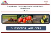 Presentación de PowerPoint - SEDRUAsedrua.michoacan.gob.mx/wp-content/uploads/2016/08/... · 2019-05-13 · Programa de Concurrencia con las Entidades Federativas 2019 SUBSECTOR