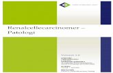 Renalcellecarcinomer – Patologi · Anbefalingerne bygger hovedsageligt på anbefalingerne udarbejdet ved ISUP konsensuskonference i 2012, anbefalinger fra den af The Royal College