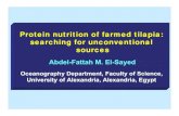 Protein nutrition of farmed tilapia: searching for unconventional sources · 2004-10-13 · Protein nutrition of farmed tilapia: searching for unconventional sources Abdel-Fattah