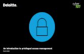An introduction to privileged access management€¦ · assessments, IT network inventory scanning and identity governance, among other things. This ... into buying fake products.