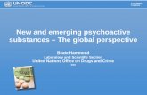 New and emerging psychoactive substances – The global … · 2012-07-26 · New and emerging psychoactive substances – The global perspective. Beate Hammond. Laboratory and Scientific