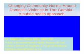 Changing Community Norms Around Domestic Violence in The ...siteresources.worldbank.org/INTGENDER/Resources/matthewshaw.pdf · domestic violence, reproductive health and gender inequality