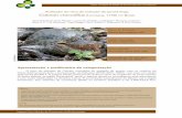 Avaliação do risco de extinção do jacaré-tinga caiman ... · 6 Instituto Chico Mendes de Conservação da Biodiversidade Seção: Avaliação do Estado de Conservação dos Crocodilianos