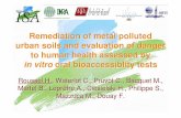 Remediation of metal polluted urban soils and evaluation ... 2008 HRoussel.pdf · Remediation of metal polluted urban soils and evaluation of danger to human health assessed by in