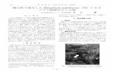 岡山県で発生した Rhizobium radiobacter Ti ブドウ …jppa.or.jp/archive/pdf/63_11_42.pdf岡山県で発生したRhizobium radiobacter（Ti）によるブドウ根頭がんしゅ病