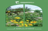 A GUIDE TO CELEBRATE NIAGARA PENINSULA’S NATIVE PLANTS€¦ · 2 A GUIDE TO CELEBRATE INTRODUCTION Established in 1959, the Niagara Peninsula Conservation Authority (NPCA) serves