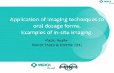Application of imaging techniques to oral dosage forms ...Physchem.org.uk/symp11/Talks/Paolo_Avalle_PCF11.pdfApplication of imaging techniques to oral dosage forms. Examples of in-situ