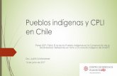 Pueblos Indígenas y CPLI en Chile 14.6 - FIMA · en Chile Panel UDP / FIMA: El rol de los Pueblos Indígenas en la Conservación de la ... ´ Modelo económico y ecológico de bosques