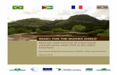 REDD+ FOR THE GUIANA SHIELD - WordPress.com · 2014-04-07 · algorithms. As the motto of OTB goes, Orfeo Toolbox is not a black box, OTB encourages full access to the details of