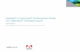 Adobe LiveCycle Enterprise Suite Infrastructure...Adobe LiveCycle ES2 Deployment on VMware Virtual Infrastructure Introduction This document provides basic guidance to those interested