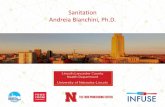 Sanitation Andreia Bianchini, Ph.D. - UNL...– Surfactants – oil, fat, food residue, inert soil Food Soil • Cleaning – complete removal of food soil • Sanitizing – reduce