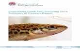 Coppabella Creek Fish Sampling 2014 Summary of Findings Report · Coppabella Creek Fish Sampling 2015Summary of Findings Report . First published March 2017 . More information . ...