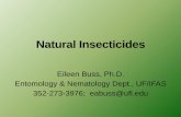 Natural insecticides - Palm Beach County, Floridadiscover.pbcgov.org/coextension/horticulture/pdf/commercial/bussmicrobials.pdfFungus is naturally in soil & infects insects Infects