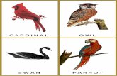 BIRDSFLASHCARDS COLOR FINAL - Christianbook Nature Study Color.pdf · Title: BIRDSFLASHCARDS_COLOR_FINAL Author: Stacey Puddepha Keywords: DADaIiHPbl8,BAB6BXkAbKM Created Date: 20190516185751Z