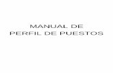 MANUAL DE PERFIL DE PUESTOS - transparenciamorelos.mx · actualizada y aplicable del IMSS, CONACyT, ISSSTE, SEGURO POPULAR, PRODEP Y UAEM. ... en especial Excel, intermedio y avanzado