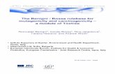 The Benigni / Bossa rulebase for mutagenicity and ......EUR 23241 EN - 2008 The Benigni / Bossa rulebase for mutagenicity and carcinogenicity – a module of Toxtree Romualdo Benigni