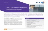 BT Compute Storage...BT Compute Storage most companies manage all their data in the same way, in terms of storage and retrieval. themselves sharing low latency, high cost server space