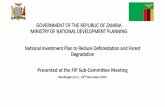 GOVERNMENT OF THE REPUBLIC OF ZAMBIA …...GOVERNMENT OF THE REPUBLIC OF ZAMBIA MINISTRY OF NATIONAL DEVELOPMENT PLANNING National Investment Plan to Reduce Deforestation and Forest