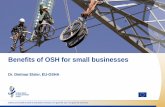 Benefits of OSH for small businesses - European Agency for ... EU... · Benefits of OSH for small businesses Dr. Dietmar Elsler, EU-OSHA. 2 ... Case study 1: The company and the issue