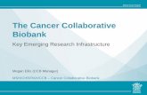 The Cancer Collaborative Biobank Key...What is the CCB? – The Cancer Collaborative Biobank (CCB) was created solely to help facilitate research. – It was recognised that one of