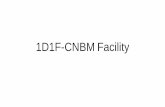 1D1F-CNBM Facility · Facility Overview •The CNBM facility is a turnkey project financing option secured by Association of Ghana Industries (AGI) and 1D1F partner banks for private